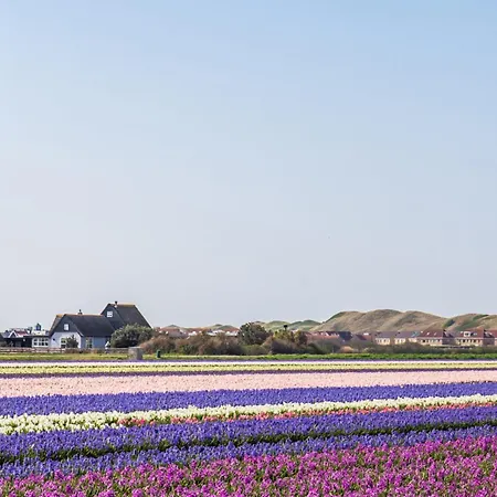 Vicky - Aan Zee Hébergement de vacances Julianadorp