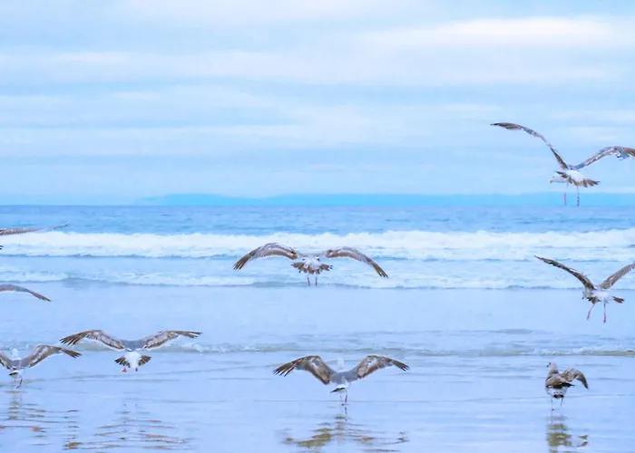 Vicky - Aan Zee Hébergement de vacances *